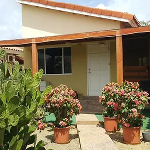 Bubali , Palm Beach Aruba